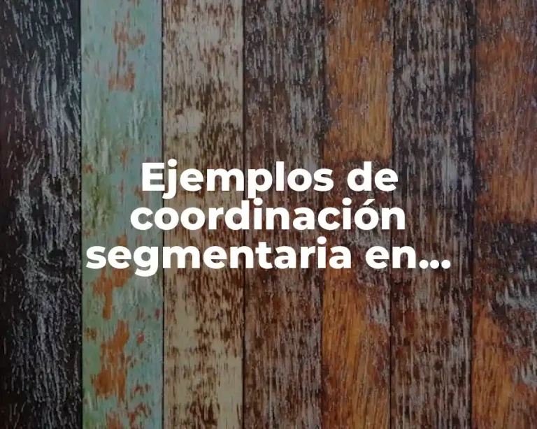 Ejemplos de coordinación segmentaria en educación física