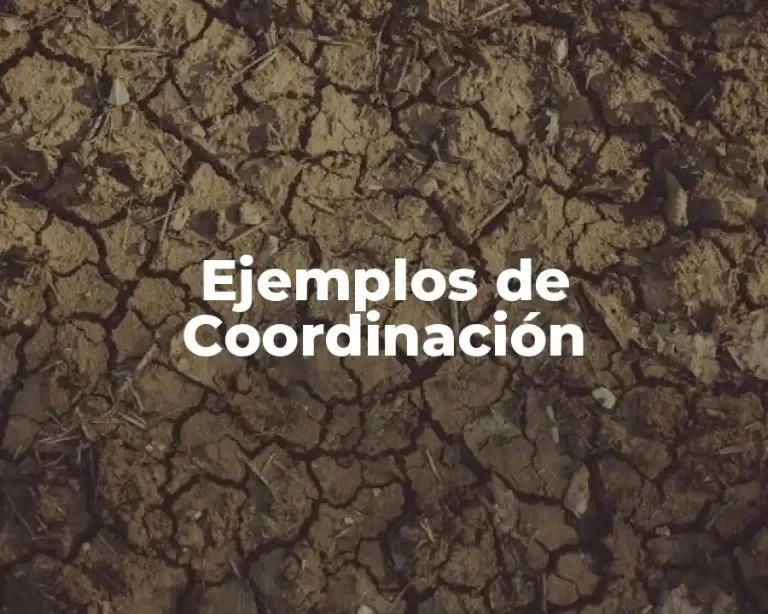 Ejemplos de Coordinación