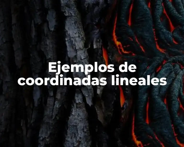 Ejemplos de coordinadas lineales