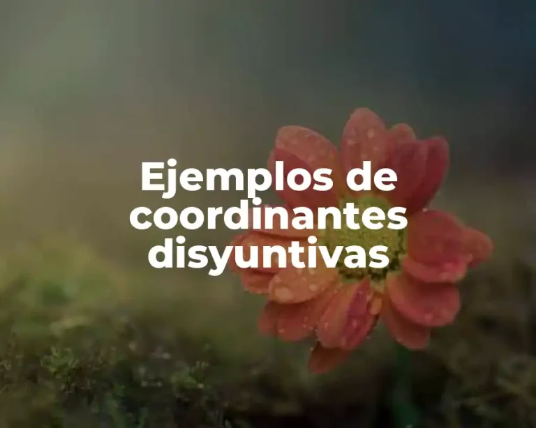 Ejemplos de coordinantes disyuntivas
