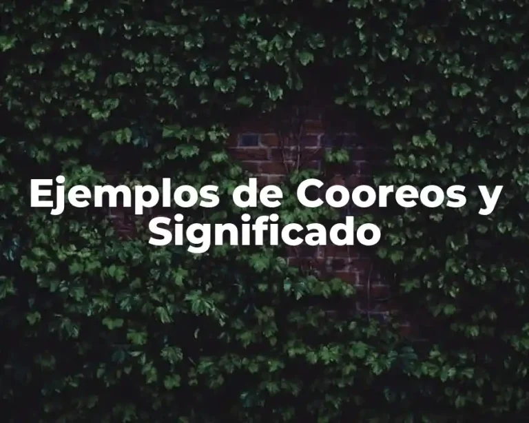 Ejemplos de Cooreos y Significado