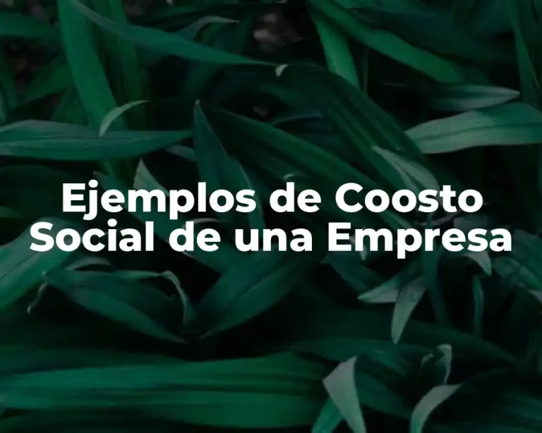 Ejemplos de Coosto Social de una Empresa