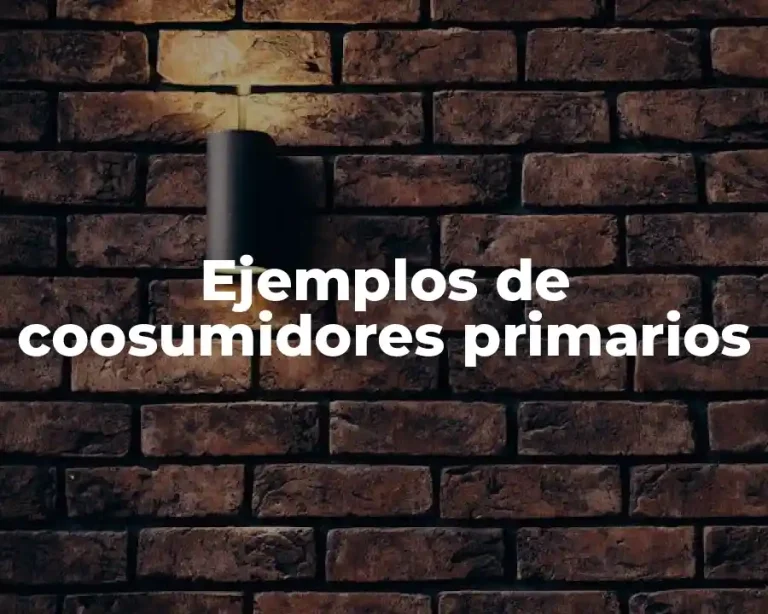 Ejemplos de coosumidores primarios