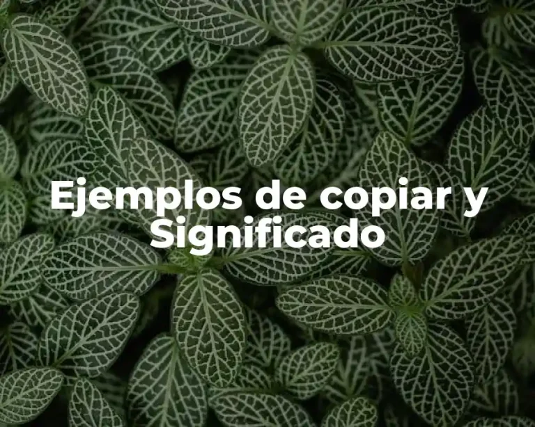 Ejemplos de copiar y Significado