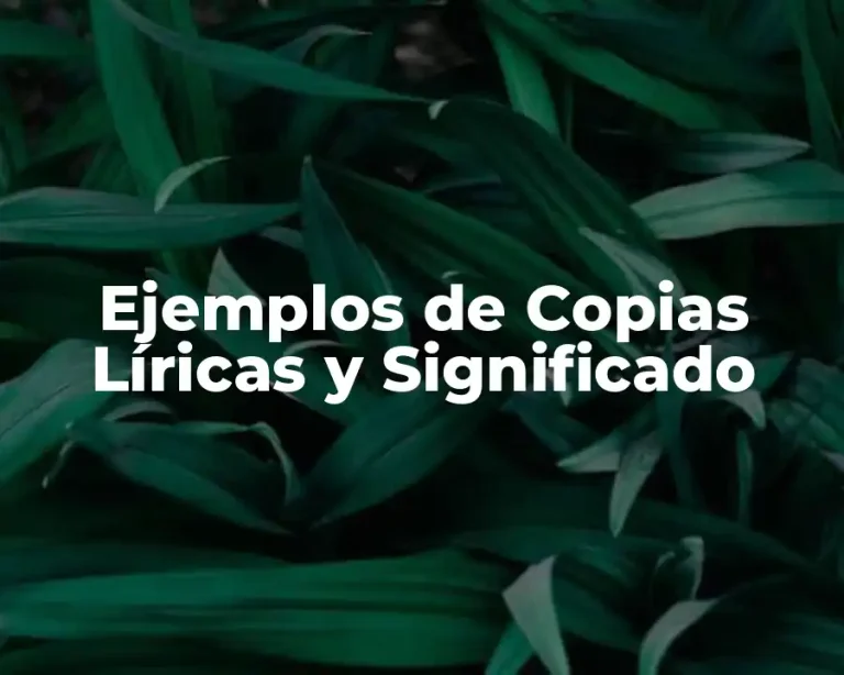 Ejemplos de Copias Líricas y Significado