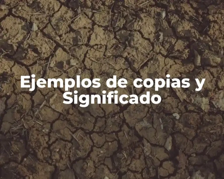 Ejemplos de copias y Significado