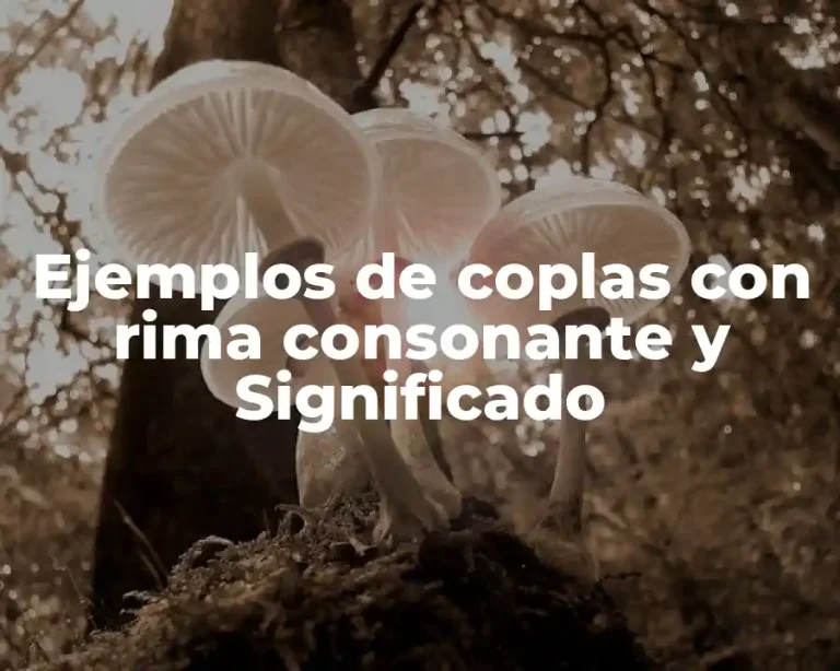 Ejemplos de coplas con rima consonante y Significado