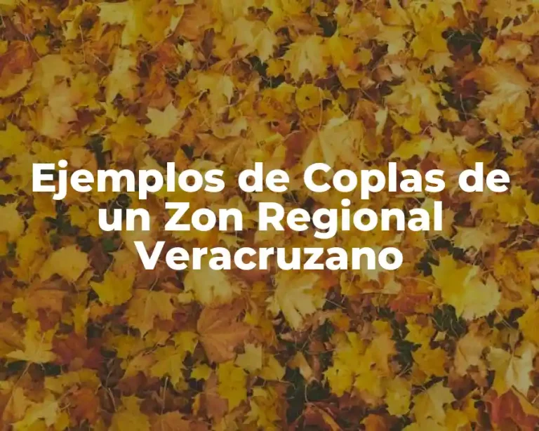 Ejemplos de Coplas de un Zon Regional Veracruzano