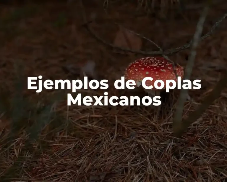 Ejemplos de Coplas Mexicanos