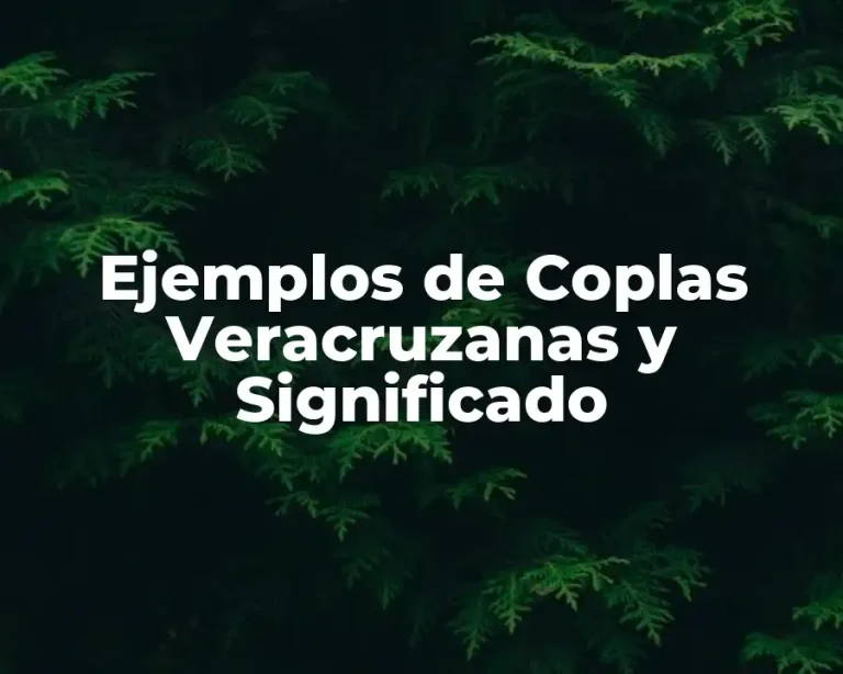 Ejemplos de Coplas Veracruzanas y Significado