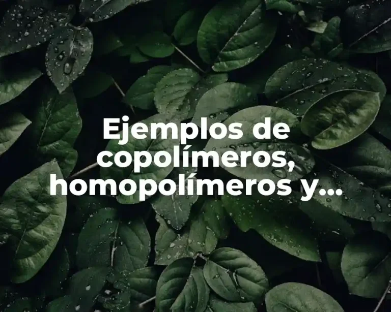 Ejemplos de copolímeros, homopolímeros y heteropolímeros
