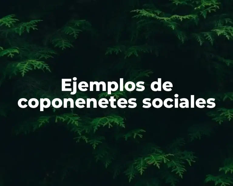 Ejemplos de coponenetes sociales