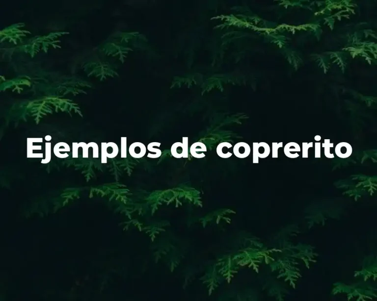Ejemplos de coprerito