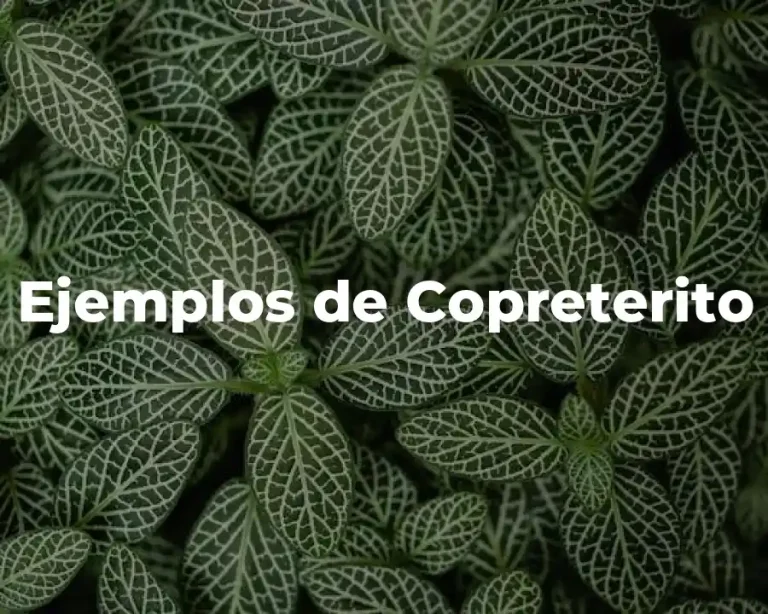 Ejemplos de Copreterito