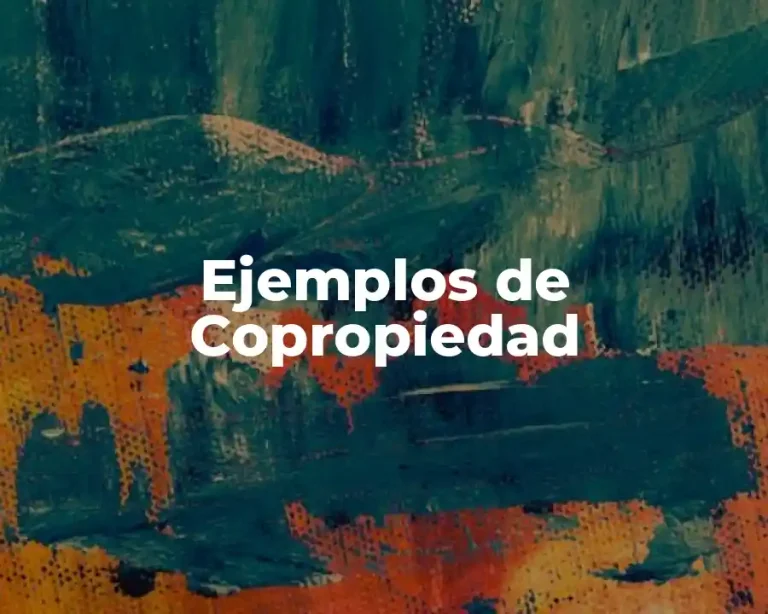 Ejemplos de Copropiedad