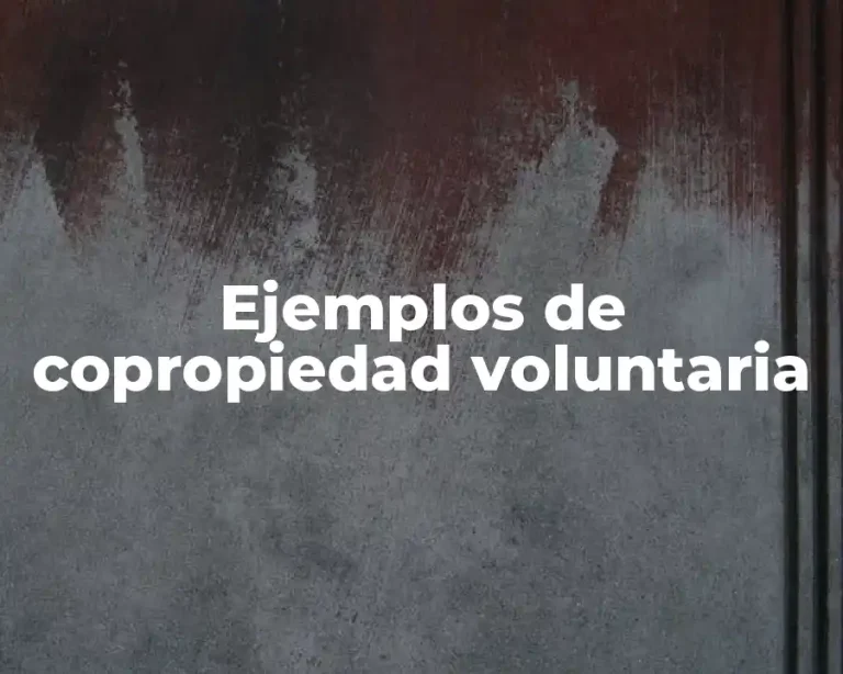 Ejemplos de copropiedad voluntaria