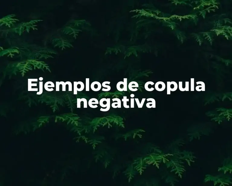Ejemplos de copula negativa