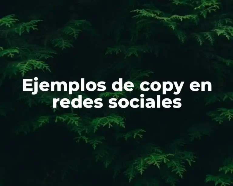 Ejemplos de copy en redes sociales