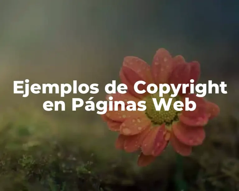 Ejemplos de Copyright en Páginas Web