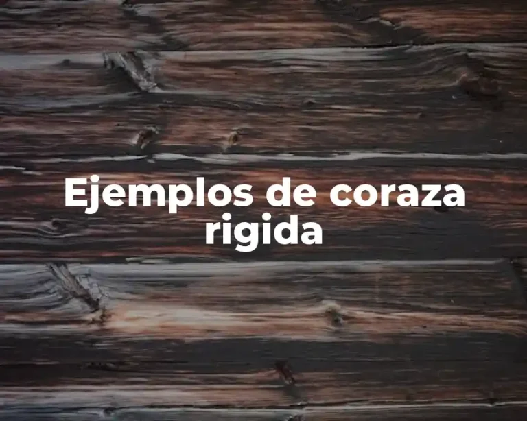 Ejemplos de coraza rigida
