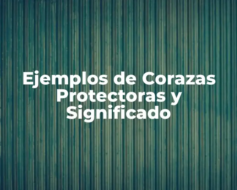 Ejemplos de Corazas Protectoras y Significado