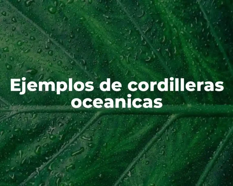 Ejemplos de cordilleras oceanicas