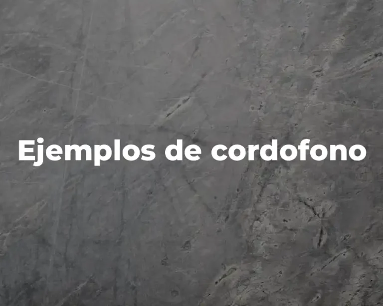 Ejemplos de cordofono