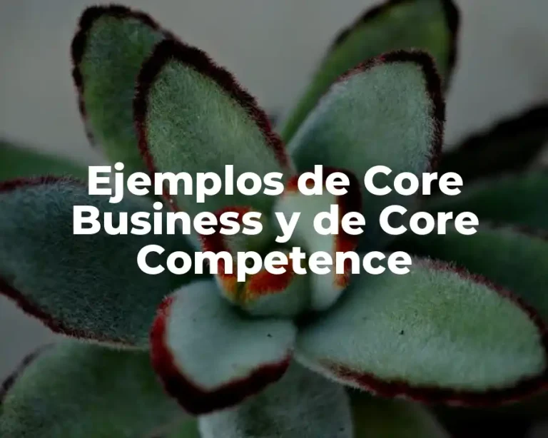 Ejemplos de Core Business y de Core Competence