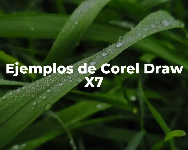 Ejemplos de Corel Draw X7