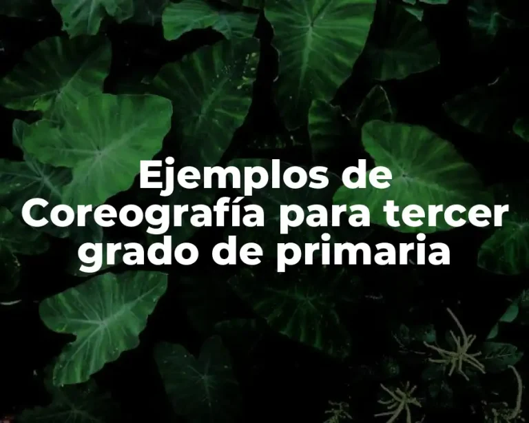 Ejemplos de Coreografía para tercer grado de primaria