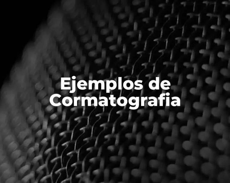 Ejemplos de Cormatografia