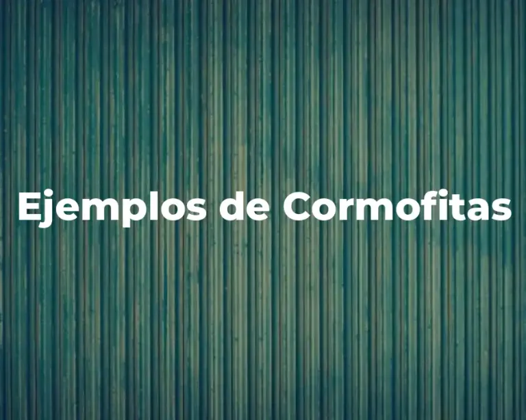 Ejemplos de Cormofitas