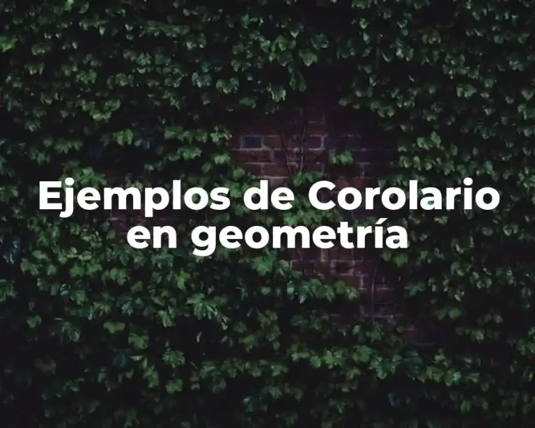 Ejemplos de Corolario en geometría