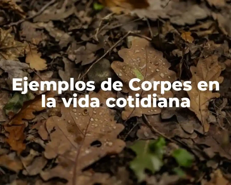 Ejemplos de Corpes en la vida cotidiana