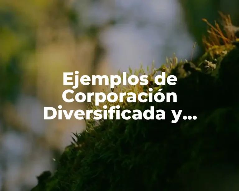 Ejemplos de Corporación Diversificada y Significado