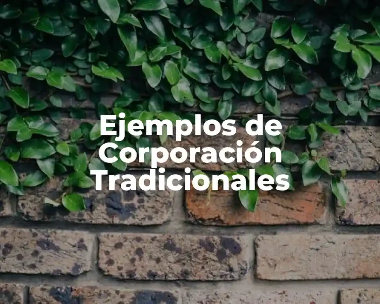 Ejemplos de Corporación Tradicionales