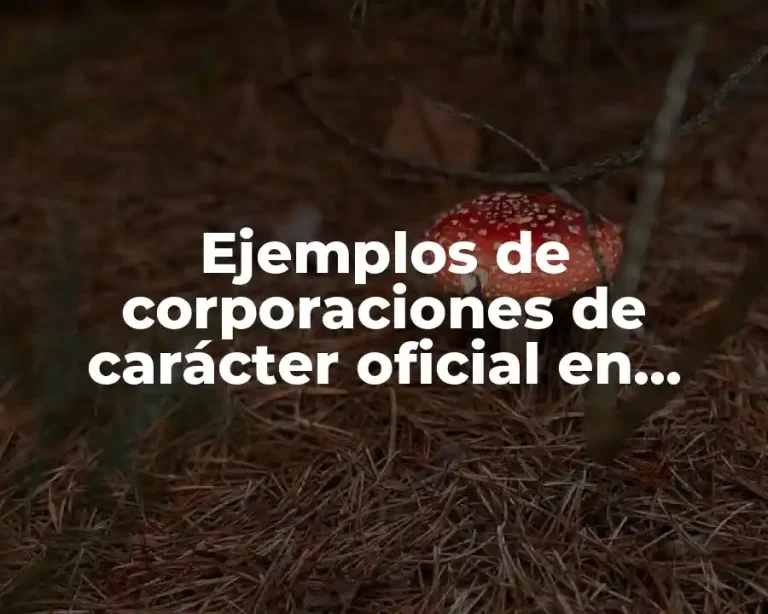 Ejemplos de corporaciones de carácter oficial en México