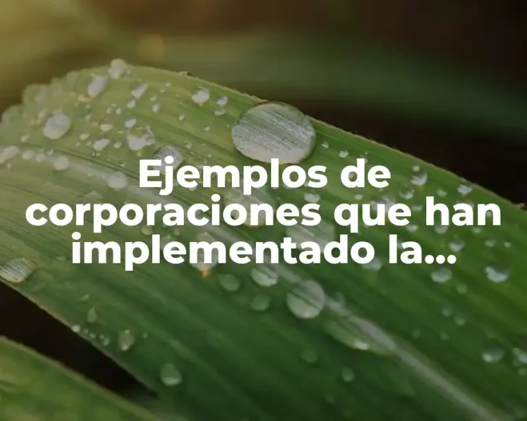 Ejemplos de corporaciones que han implementado la investigación de