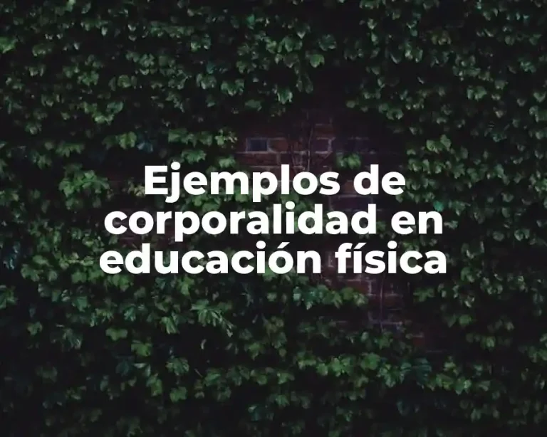 Ejemplos de corporalidad en educación física