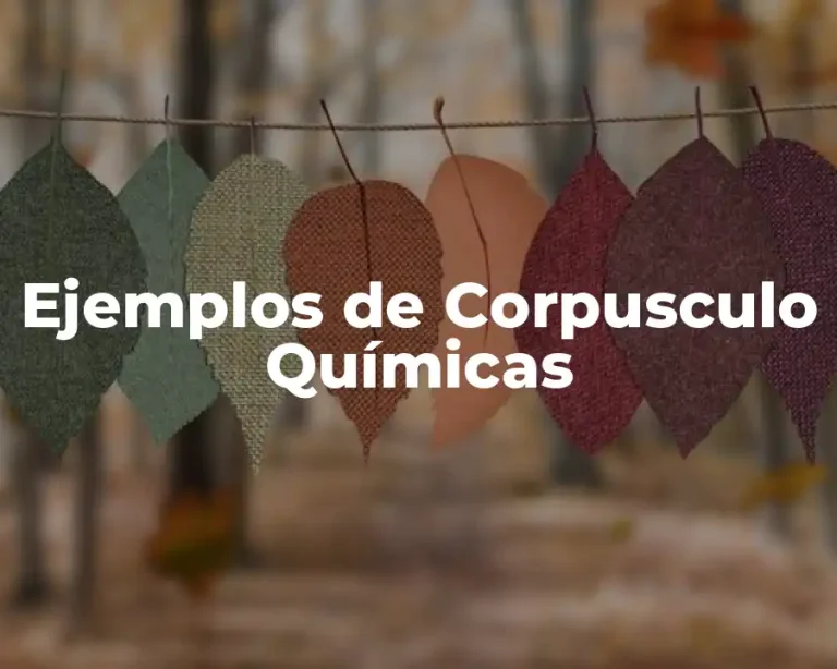Ejemplos de Corpusculo Químicas