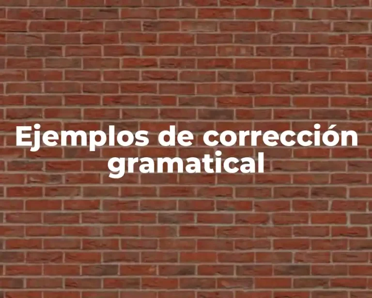 Ejemplos de corrección gramatical