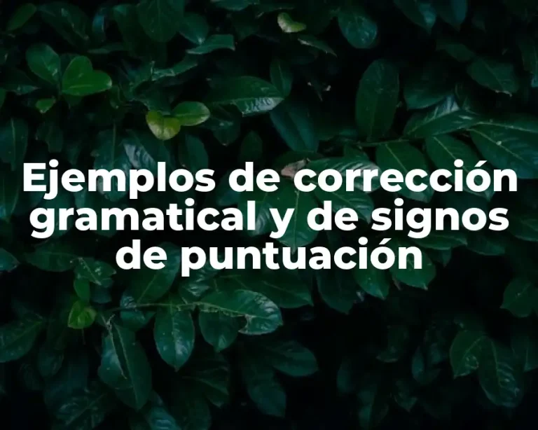 Ejemplos de corrección gramatical y de signos de puntuación