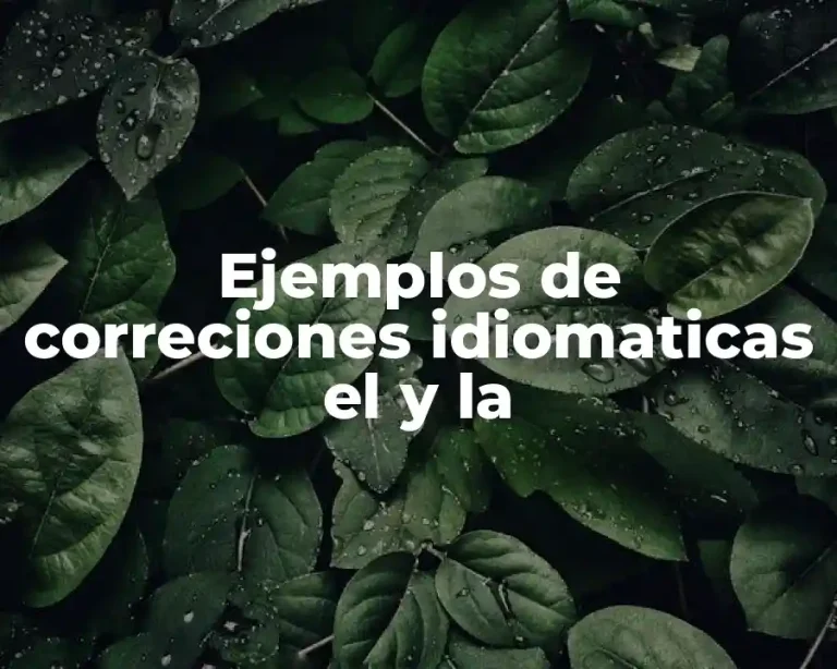 Ejemplos de correciones idiomaticas el y la
