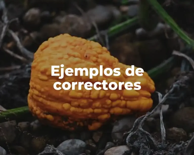 Ejemplos de correctores