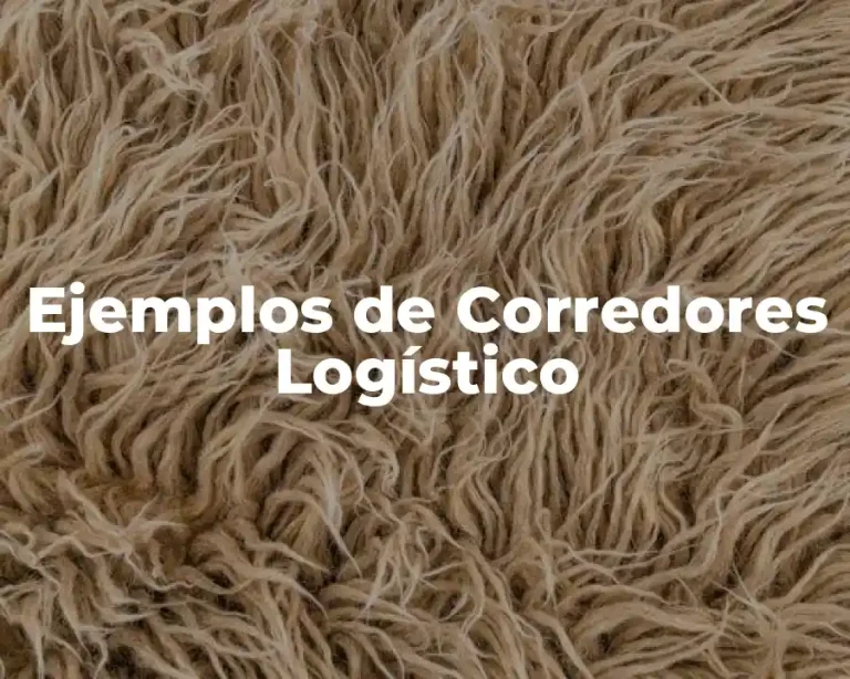 Ejemplos de Corredores Logístico