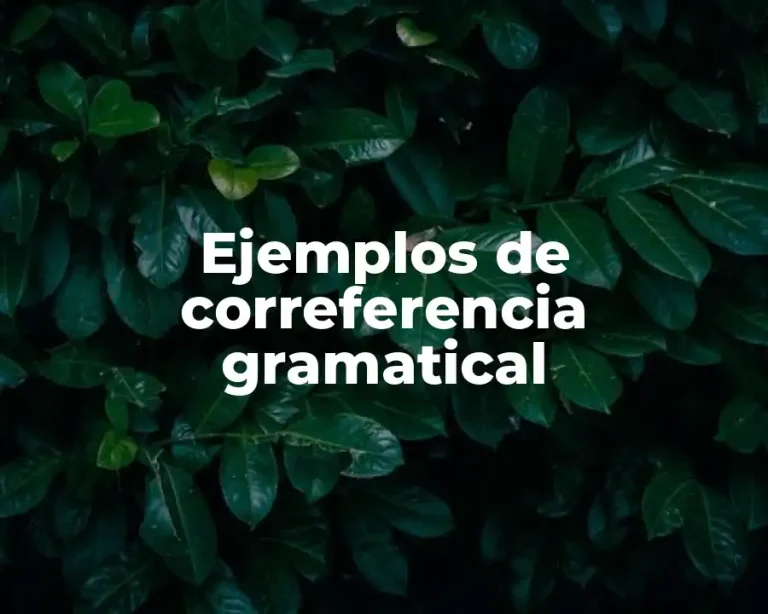 Ejemplos de correferencia gramatical
