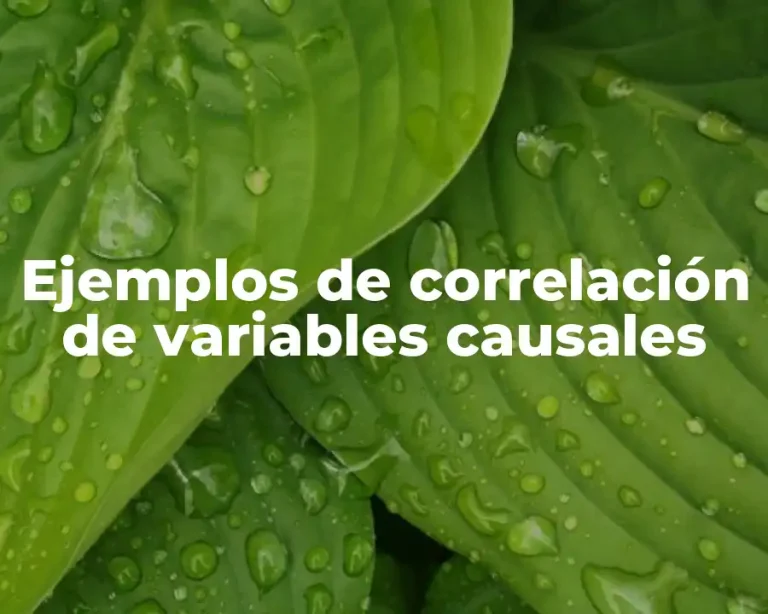 Ejemplos de correlación de variables causales