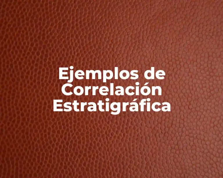 Ejemplos de Correlación Estratigráfica