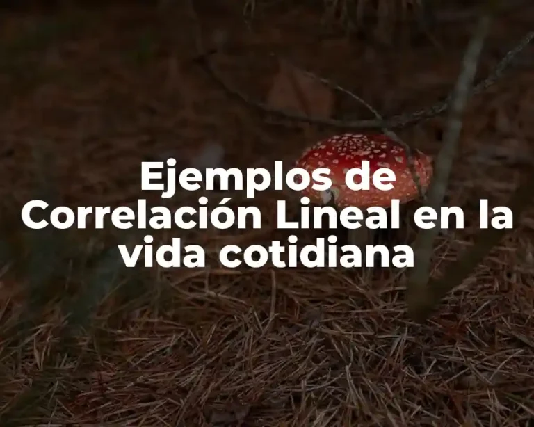 Ejemplos de Correlación Lineal en la vida cotidiana