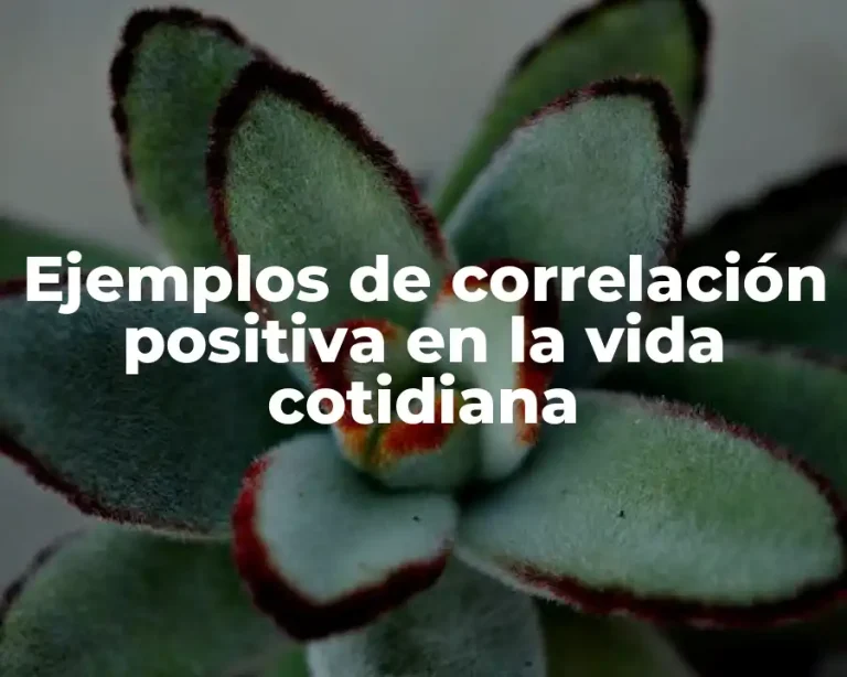Ejemplos de correlación positiva en la vida cotidiana